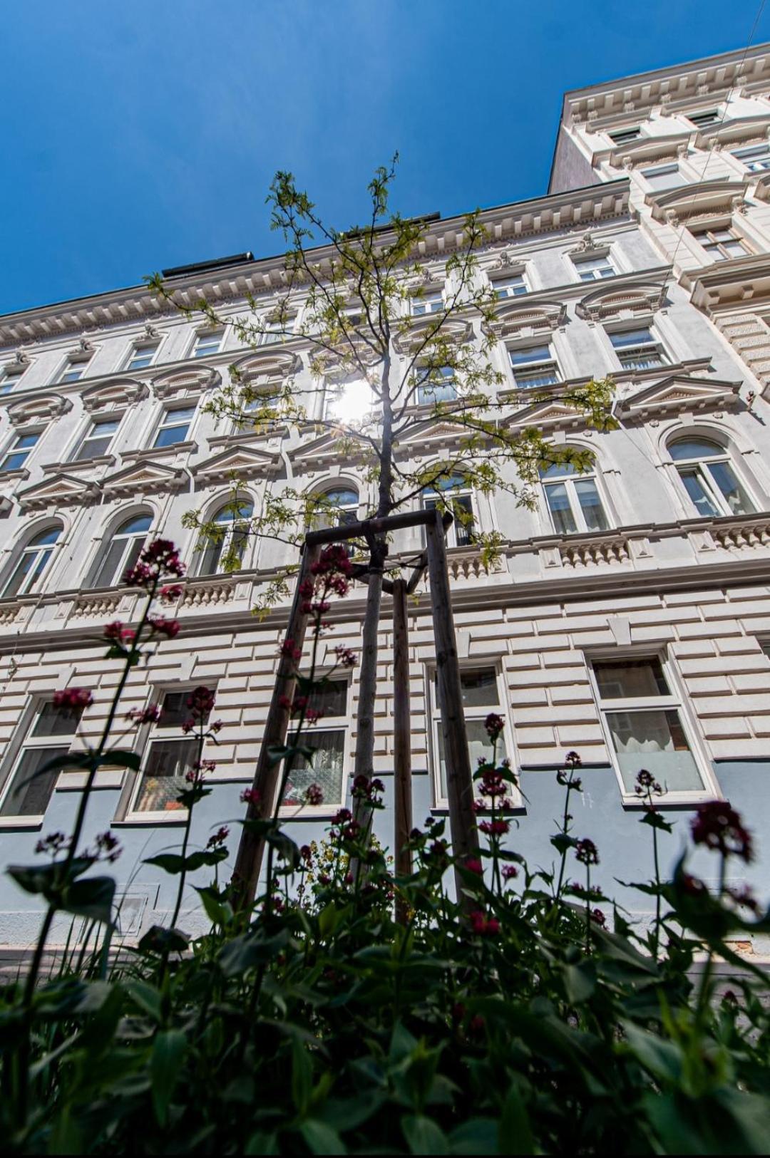Vienna My City Apartment Garden View 外观 照片